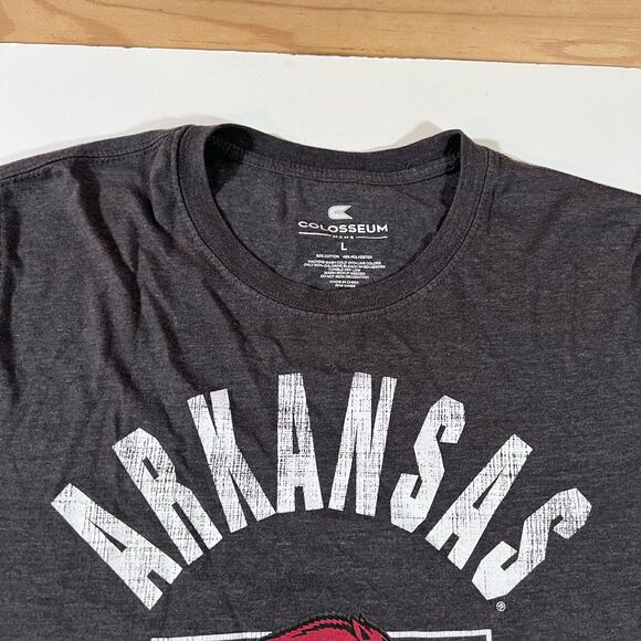Arkansa Razorbacks Colosseum Short Sleeve T-Shirt College NCAA Men's Large - Picture 4 of 6
